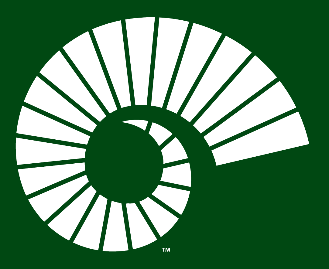 Colorado State Rams 2015-Pres Alternate Logo v3 DIY iron on transfer (heat transfer)